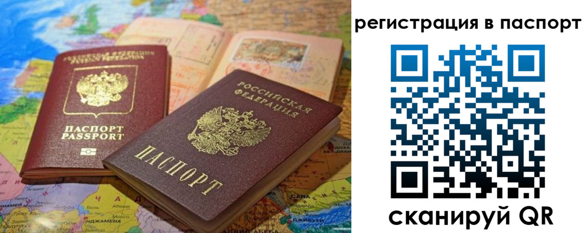 временная регистрация гарантия в Елизово
