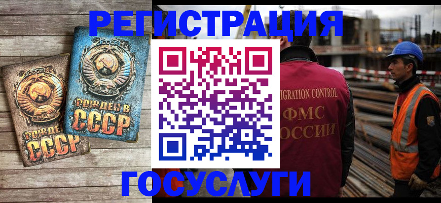 где прописаться в Елизово